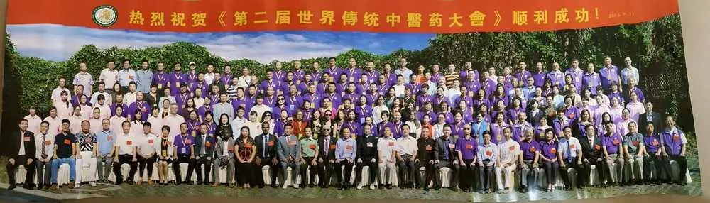 Zhu's Scalp Acupuncture (ZSA) academic presentation at the 2nd World Congress of Chinese Medicine, 2016.
